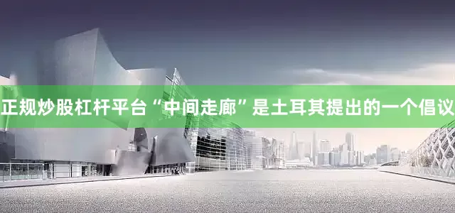 正规炒股杠杆平台“中间走廊”是土耳其提出的一个倡议