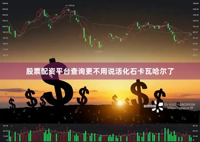 股票配资平台查询更不用说活化石卡瓦哈尔了