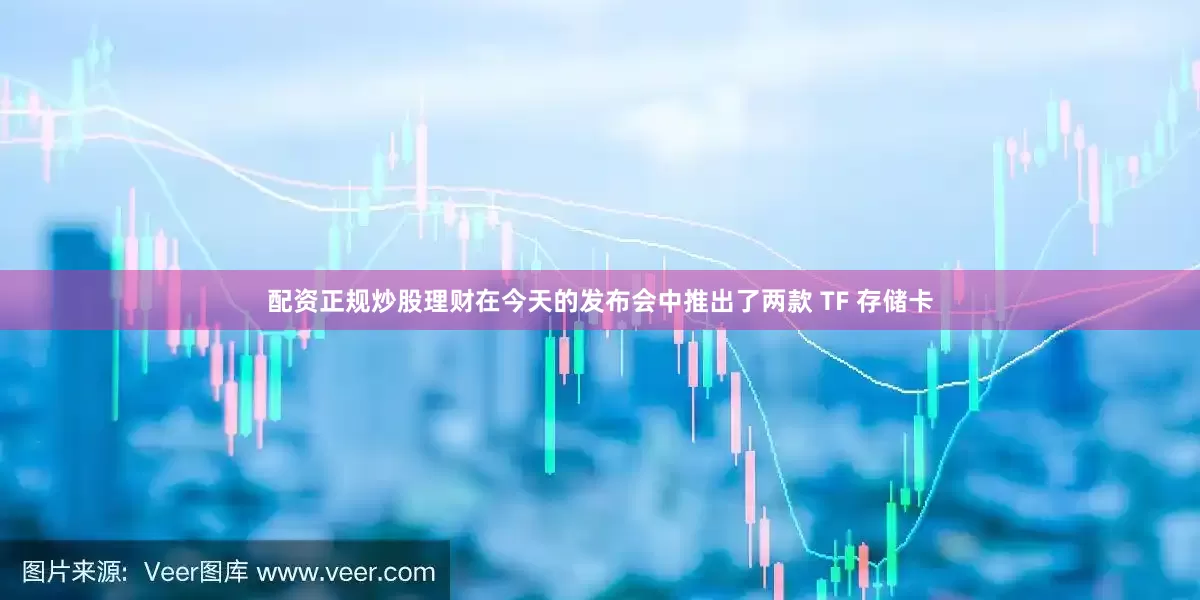 配资正规炒股理财在今天的发布会中推出了两款 TF 存储卡